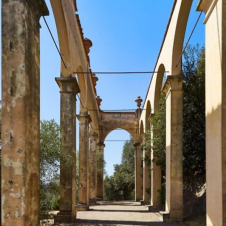 Bagni Di Pisa Palace & Thermal Spa - The Leading Hotels Of The World San Giuliano Terme Eksteriør bilde The colonnade
