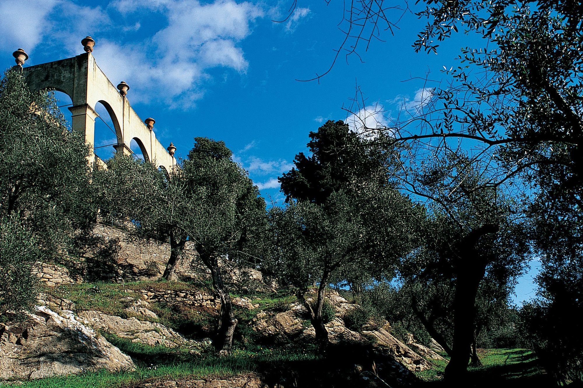 Bagni Di Pisa Palace & Thermal Spa - The Leading Hotels Of The World San Giuliano Terme Fasiliteter bilde Olive trees in the hills of Andalusia